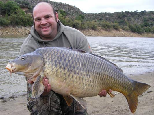 Adunate! - river-ebro-carp-fishing-spain-39lb-8oz.jpg